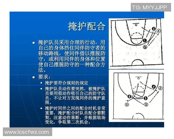 上海乒乓球队区域防守策略深度解析与战术创新探讨